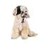 Шапка Pet Fashion Bubo для собак, L чорна - мініатюра 2