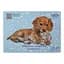Альбом для малювання Pets KIDS Line А4, 12 аркушів, 120 г/м², на скобі, блакитний - мініатюра 1