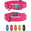 Нашийник для собак водостійкий Waudog Waterproof з QR паспортом, пластиковий фастекс, XXL, 46-70х4 см, рожевий - мініатюра 2