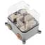 Душова система Rea Lungo brushed gold з термостатом + BOX прихованого монтажу REA-P8551, Золотий - мініатюра 8
