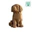 LABRADOR PUPPY - Картонный 3Д пазл Cartonic - миниатюра 4