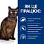 Сухий корм Hill's Prescription Diet m/d для котів при цукровому діабеті з куркою 1.5 кг - мініатюра 7