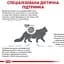 Сухий корм для дорослих котів Royal Canin Diabetic 0.4 кг - мініатюра 4