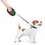 Повідець-рулетка для собак Waudog R-leash, малюнок "Калина", M, до 25 кг, 5 м, світловідбиваюча стрічка чорний - мініатюра 7