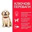 Сухий корм Hill's SP Puppy Large Breed C 0,8 кг для цуценят великих порiд зі смаком курки - мініатюра 3