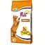 Повнораційний сухий корм Farmina Fun Cat, для дорослих котів, з м'ясом, 20 кг - мініатюра 1