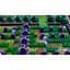 Гра The Legend of Zelda Link's Awakening (російська версія) (Nintendo Switch) - мініатюра 3