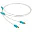 Кабель межблочный аналоговый Chord C-line 2RCA to 2RCA 2 m - миниатюра 1