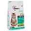 Сухий корм 1st Choice Weight Control Adult для кішок схильних до повноти 2.72 кг (65672265034) - мініатюра 1