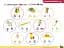 Pippa and Pop 3 Activity Book British English - миниатюра 9