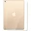Защитная пленка StatusSKIN для Apple iPad 9.7 (2017) Корпус Глянцевая Ultra - миниатюра 1