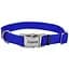 Нашийник для собак Coastal Titan Buckle 2,5см x 46-66 см (61901_BLU26) - мініатюра 1