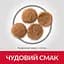 Сухий корм Hill’s SP Adult Medium Breed для дорослих собак середніх порід з куркою 2.5 кг - мініатюра 4