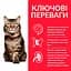 Сухий корм Hill SP Mature Adult 7+ Haiball Indoor виведення шерсті у котів від 7р. з куркою 1.5 до - мініатюра 2