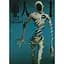 Манга Afternoon KC Ajin: Demi - Human Нелюдь на японском языке 1 том M AKC A 1 - Гамон Сакураи - миниатюра 1
