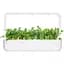 Змінний картридж Click & Grow Smart Garden Рукола, 3 капсули (8769) - мініатюра 5