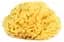 Натуральная губка для ванны OK Baby Silk Fine sea sponge, р.14, желтый (38481400) - миниатюра 1
