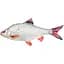 Подушка 3KBaits Плотва NEW 52 x 23 см - миниатюра 1
