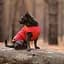 Жилет Pet Fashion E.Vest для собак, розмір XS2, червоний - мініатюра 5