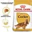 Сухий корм для дорослих собак породи Кокер спаніель Royal Canin Cocker Adult, 3 кг (3969030) - мініатюра 6