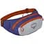 Поясна сумка Osprey Daylite Waist S21 Silver Lining (1054-009.3404) - мініатюра 1