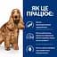 Сухий корм для собак при харчовій алергії Hill’s Prescription Diet z/d 10 кг - мініатюра 4