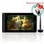 Графічний монітор Huion Kamvas Pro 13 + рукавичка (PRO13) - мініатюра 1