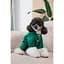 Комбінезон Pet Fashion EGO S2 зелений для собак - мініатюра 7