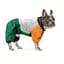 Дощовик Pet Fashion Marlie для собак S2 такса - мініатюра 10