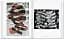 M.C. Escher. The Graphic Work - миниатюра 6