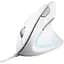 Мишка Trust Verto Ergonomic USB White (25133) - мініатюра 1