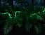 Светодиодная лента Hoco DL30 RGB 4м + пульт (Черная) - миниатюра 10