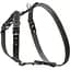 Шлея Collar одинарна для малих та середніх собак (ширина 20мм, А:40-56см, В:57-65см) чорний - мініатюра 2