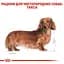 Сухий корм для дорослих собак породи Такса Royal Canin Dachshund Adult, 1,5 кг (3059015) - мініатюра 3