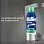 Набір піна для гоління Gillette Series Для чутливої шкіри 400 мл (2 шт. х 200 мл) - мініатюра 3