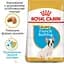 Сухой корм для щенков породы Французский Бульдог Royal Canin French Bulldog Puppy, 10 кг (3990100) - миниатюра 4