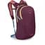 Рюкзак Osprey Daylite Бордовый - миниатюра 1