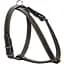 Шлея Collar одинарна для малих порід собак (ширина 14мм, А:40-48см, В:43-51см) чорний - мініатюра 1
