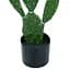 Штучна рослина Engard Cactus 75 cм (TW-41) - мініатюра 4