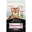 Сухой корм для котов с чувствительным пищеварением Purina Pro Plan Delicate с ягненком 10 кг (12434335) - миниатюра 2