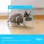 IP-камера TP-Link Tapo C225 3MP N300 microSD motion detection 360° mic - миниатюра 7