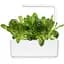 Змінний картридж Click & Grow Smart Garden Салат Ромен, 3 капсули (8820) - мініатюра 5