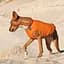 Жилет Pet Fashion E.Vest для собак, розмір M2, помаранчевий - мініатюра 7