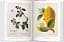 A Garden Eden. Masterpieces of Botanical Illustration. 40th Edition - мініатюра 4