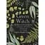 Green Witch. Універсальний довідник із природної магії рослин, ефірних олій та мінералів - Ейрін Мерфі-Хіскок - мініатюра 1