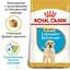 Сухий корм для цуценят породи Лабрадор Ретрівер Royal Canin Labrador Retriever Puppy, 12 кг (24911201) - мініатюра 4