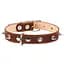 Нашийник для собак Collar, шкіряний, подвійний, з шипами, 48-63х3,5 см, коричневий - мініатюра 1