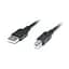 Кабель для принтера USB 2.0 AM/BM 2.0m Pro black REAL-EL (EL123500026) - миниатюра 1