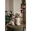 Платье Pet Fashion Amelia для собак XS - миниатюра 7
