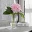 Ваза скляна для квітів та декору Trendglass Rona 25x13.7 см (35700) - мініатюра 4